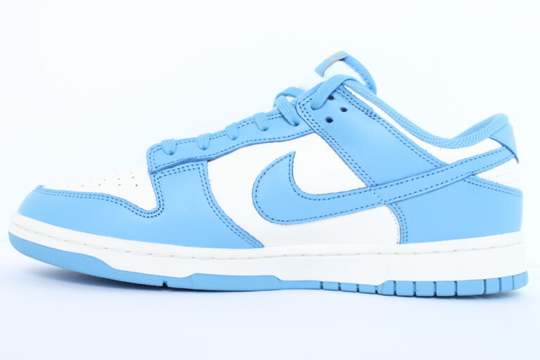 women's nike dunk coast