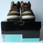 Nike SB Dunk High PRM HG QS - Hometown Collaboration Ithaca New York Skateshop