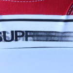 Supreme X Vans Motion Logo - Red