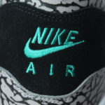 Nike Air Max 1 Premium Retro - Atmos