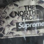 Supreme®️/ The North Face®️ Snakeskin Taped Seam Stormbreak 3 Tent - Black