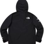 Supreme®️/The North Face®️ Arc Logo Mountain Parka - Image 3