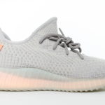 adidas Yeezy Boost 350 V2 TRFRM