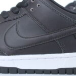 Nike SB Dunk Low X Civilist