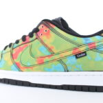 Nike SB Dunk Low X Civilist