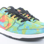 Nike SB Dunk Low X Civilist