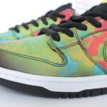 Nike SB Dunk Low X Civilist