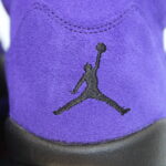 Air Jordan 5 Retro Purple Grape