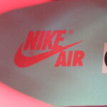 Air Jordan 1 Retro Baroque Brown 'Bio Hack'
