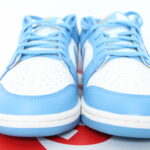 Nike Dunk Low Women's - Coast