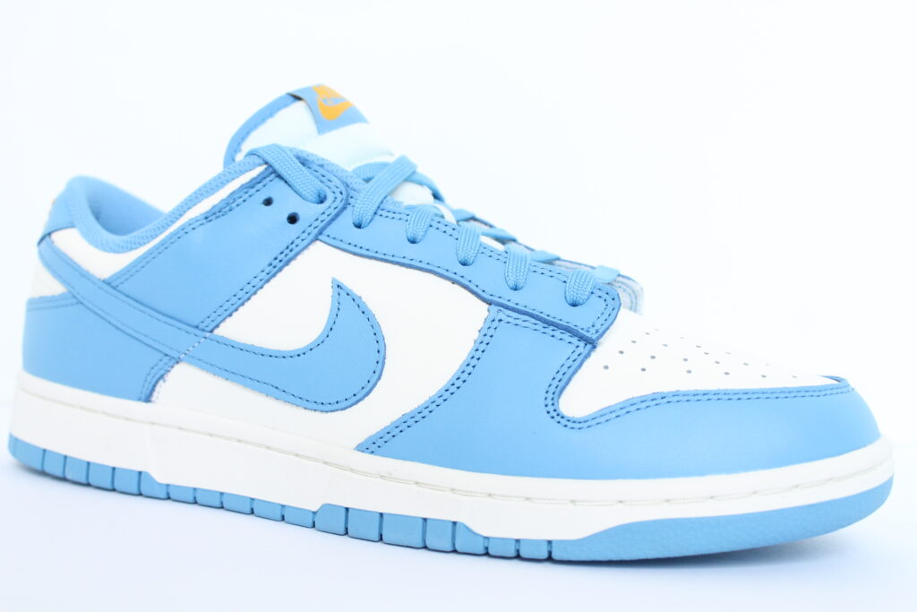 women's nike dunk coast