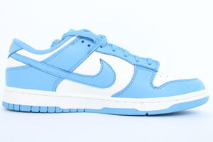 women's nike dunk coast