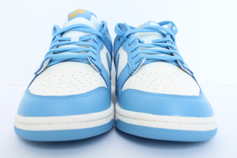 women's nike dunk coast