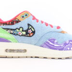 Nike Air Max 1 SP Concepts Far Out Special Box