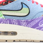 Nike Air Max 1 SP Concepts Far Out Special Box