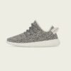 adidas Yeezy Boost 350 Turtle Dove (2022)