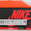 Air Jordan 1 Retro High OG Lost and Found