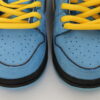 Nike SB Dunk Low Pro QS PS Little Kids The Powerpufff Girls Bubbles