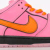 Nike SB Dunk Low Pro QS The Powerpuff Girls Blossom