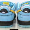 Nike SB Dunk Low Pro QS The Powerpuff Girls Bubbles