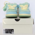 Nike SB Dunk Low Pro QS Verdy Visty