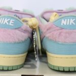 Nike SB Dunk Low Pro QS Verdy Visty